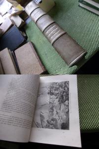 duża piękna ksiązka RYBY GADY I PTAKI L.Figuier 424 ryciny PÓŁSKÓREK 1868