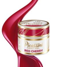 Boska Nails Żel do zdobień Picassini Paint Gel Red Cherry 5 ml