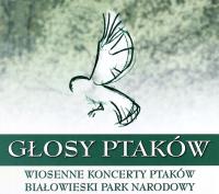 GŁOSY PTAKÓW VOL. 2 (CD)