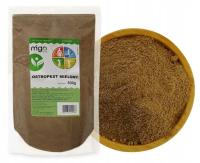 РАСТОРОПША ПЯТНИСТАЯ МОЛОТЫЙ - 500g