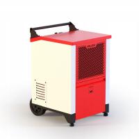 Profesjonalny osuszacz powietrza IGLOO OP50 50l na DOBĘ