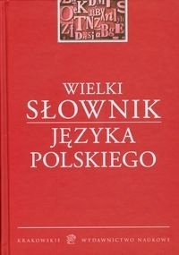 Wielki słownik języka polskiego Praca zbiorowa