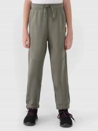 4F спортивные штаны серый