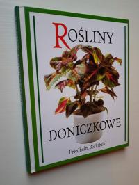 ROŚLINY DONICZKOWE /PIELĘGNACJA UPRAWA LIŚCIE KWIATY OZDOBNE PALMY KAKTUSY