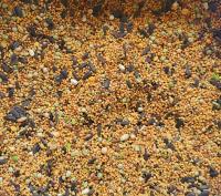 Корм для попугаев маленькая экзотика диких птиц 10 кг pm ks KAMPOL