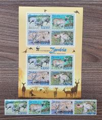 Fauna - Kudu wielkie - Zambia