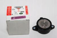 ZAWOR STERUJACY MECHANIZMU ZMIANY FAZ RO