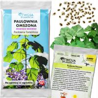Кислородное дерево семена Paulownia мшистый OXYGEN TREE гигантский 100шт семян