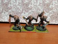 3x Wilkołaki do Warhammer Fantasy Battle Vampire Counts