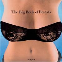 THE BIG BOOK OF BREASTS, HANSON DIAN