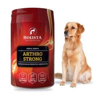 HOLISTA ARTHRO STRONG SUPLEMENT NA STAWY ŚCIĘGNA DLA PSÓW RAS DUŻYCH 200G