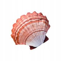 Poduszka maskotka pluszak Gaby MUSZLA POMARAŃCZOWA 45cm