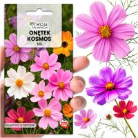 ONETEK Cosmos Cosmos MIX смесь семян цветов 160 свежих семян