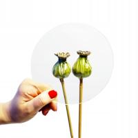 Szkło okrągłe 2 mm float przezroczyste szlifowane fi 12 cm fi 120 mm