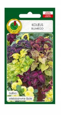 Koleus Blumego mix 0,1 g PNOS