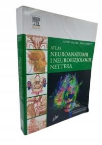 Atlas neuroanatomii i neurofizjologii Nettera David L. Felten