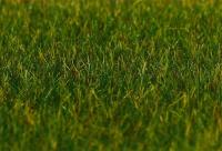 Фаллер 180485 электростатическая трава темно-зеленый