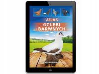 Atlas gołębi barwnych - ebook