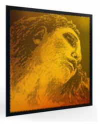 STRUNA DO SKRZYPIEC PIRASTRO EVAH PIRAZZI GOLD D