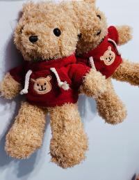 ТАЛИСМАН МЯГКИЙ ПЛЮШЕВЫЙ МИШКА ПЛЮШЕВЫЙ МИШКА ПОДАРОК