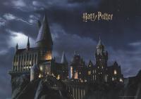 Fototapeta Harry Potter 252x182cm tapeta HOGWART