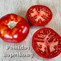 Pomidor koperkowy