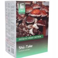 Shiitake lentinula edodes набор для выращивания грибов