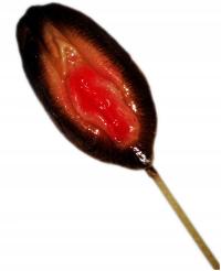 ZABAWNY Lizak WAGINA, Prezent na ŚWIĘTA, Mikołajki dla Męża Faceta Chłopaka