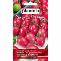 Pomidor Malinowy Kapturek MINI czerwony nasiona pomidora 0,2g PlantiCo