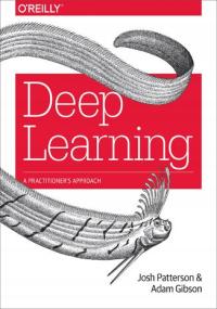 Deep Learning. A Practitioner's Approach