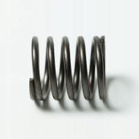 SPRĘŻYNA ZAWOROWA - silnik 1P56F - LS1210, MEX40-99