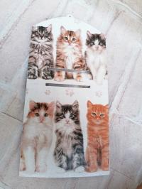 Wieszak deska kalendarz kot koty + kalendarz