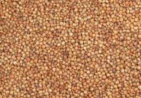 Sorgo czerwone karma pasza zboże dla gołębi ptaków papug 1kg