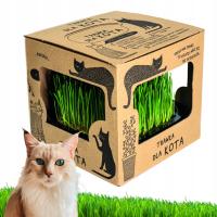 Кошка в сапогах выросла свежая травка для кошки откашливание лакомство-L