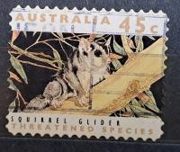 Australia luzak kas - 22/3 ssaki