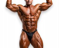 Профессиональные стартовые шорты Classic Physique от Teta Sports