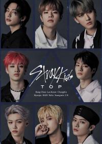 Plakat A1 K-Pop Kpop Stray Kids