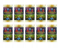 10 x сумка FIFA 365 2025 Adrenalyn XL PANINI