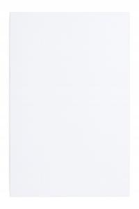 Płyta ścienna węglowa PCV WPC panel ścienny 280x122 cm Czysta biel