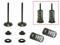 ZAWORY WYDECHOWE (KOMPLET 2 SZT. ZAWORÓW ZE SPRĘŻYNAMI I PODKŁADKAMI) HONDA