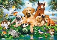 ПАЗЛ 500 ПАЗЛ КОШКИ СОБАКИ ЛОШАДИ ПТИЦЫ ЗАЙЦЫ ДОМАШНИЕ ЖИВОТНЫЕ 9 КАСТОР