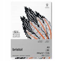 Blok Winsor&Newton Bristol 250g A3 20 arkuszy