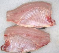 KARP KRÓLEWSKI PŁATY