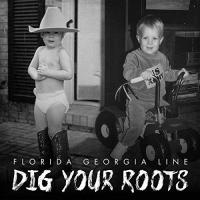 25. CD Florida Georgia Line Dig Your Roots