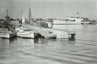 Kamień Pomorski - Reprodukcja 41540