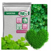 Семена клевера MICROCONICINE мелколистный для газона 500 г в оболочке