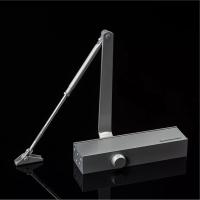 Samozamykacz 2005 z ramieniem srebrny + płytka montażowa