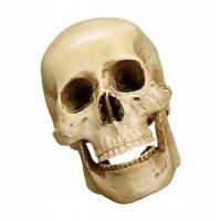 -Gothic Skull Ornament