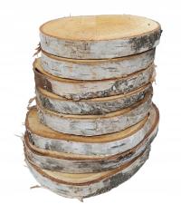 Plastry brzozy DUŻY zestaw 15-20 cm 8szt krążki drewniane brzozowe