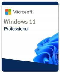 System Microsoft Windows 11 Professional